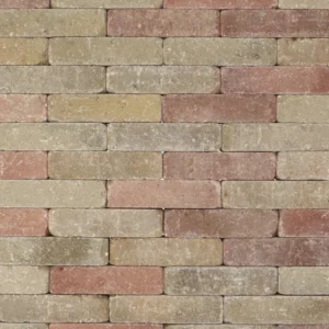 Trommelsteen 20x5x7 terrageel