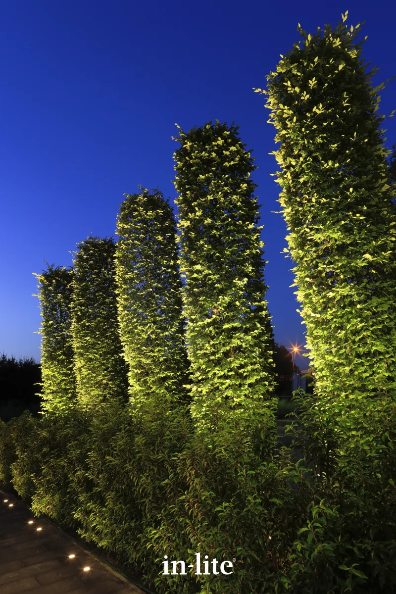 In-Lite Big Scope Narrow 12V - Afbeelding 3