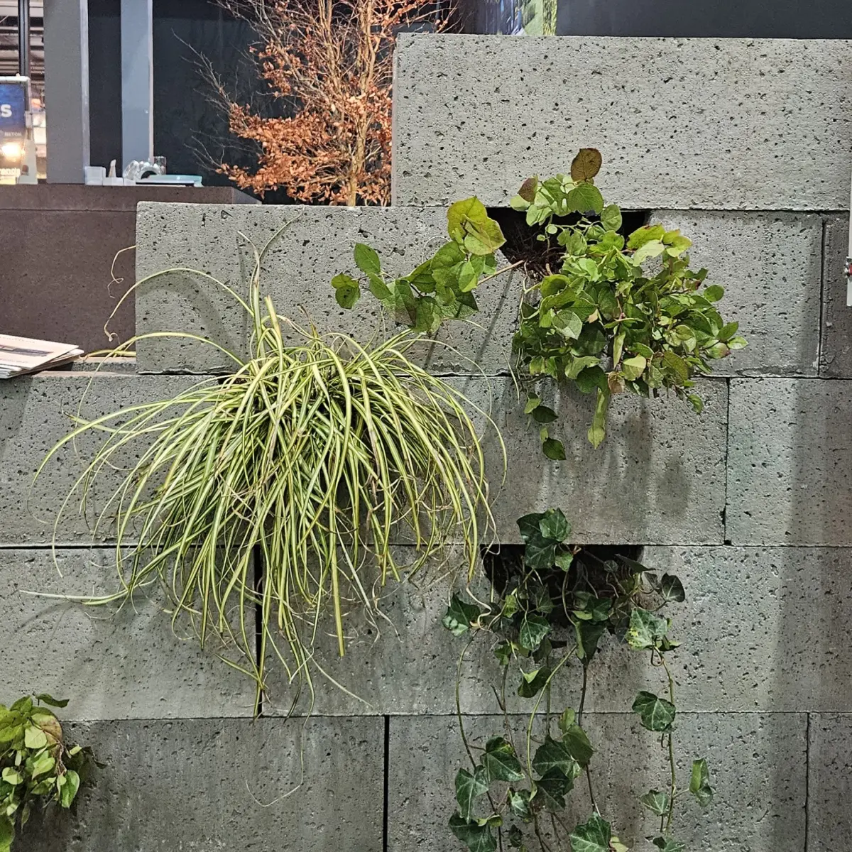 Schellevis Oudhollands Groenwand beplanting Grijs 100x20x20 - Afbeelding 3