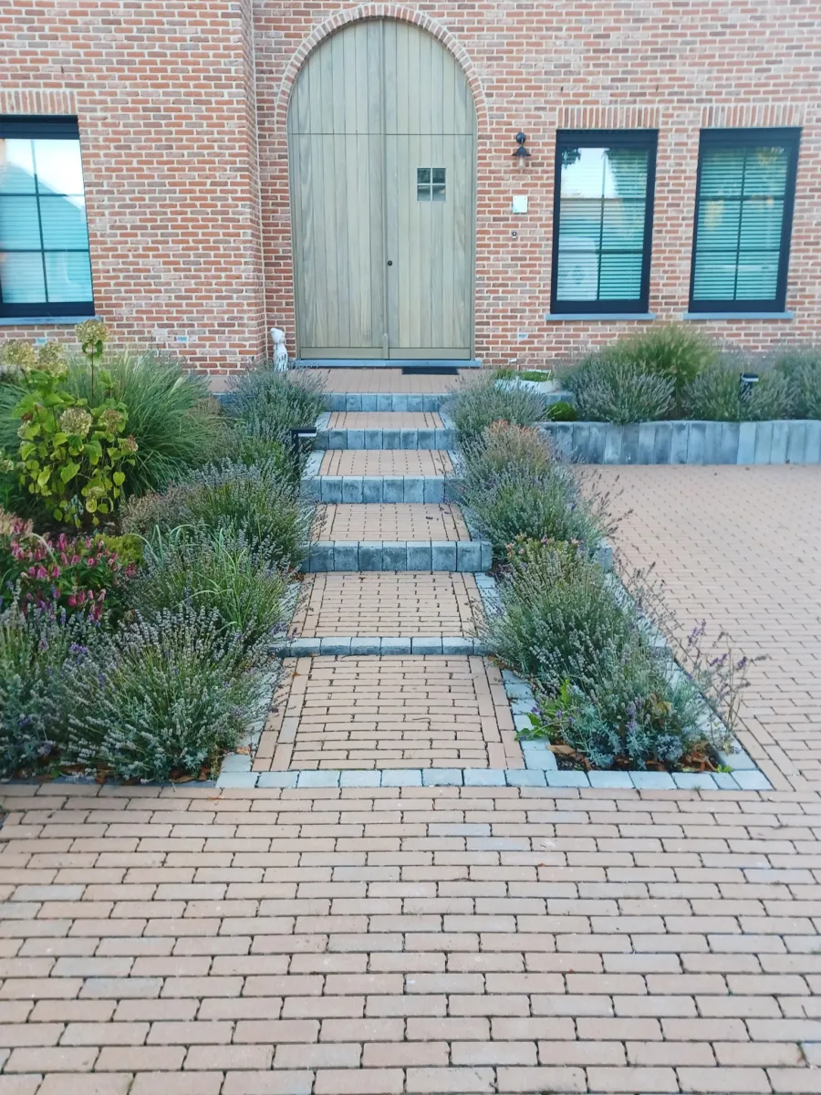 Hydro Brick 20x6,7x8 Terrra Nuance Paars-bruin - Afbeelding 3