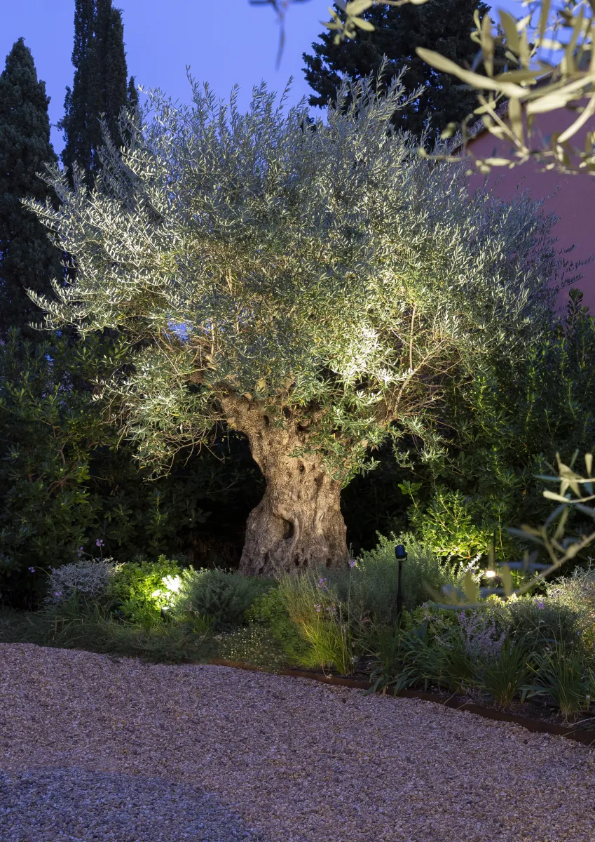 In-Lite Big Scope 12V - Afbeelding 3