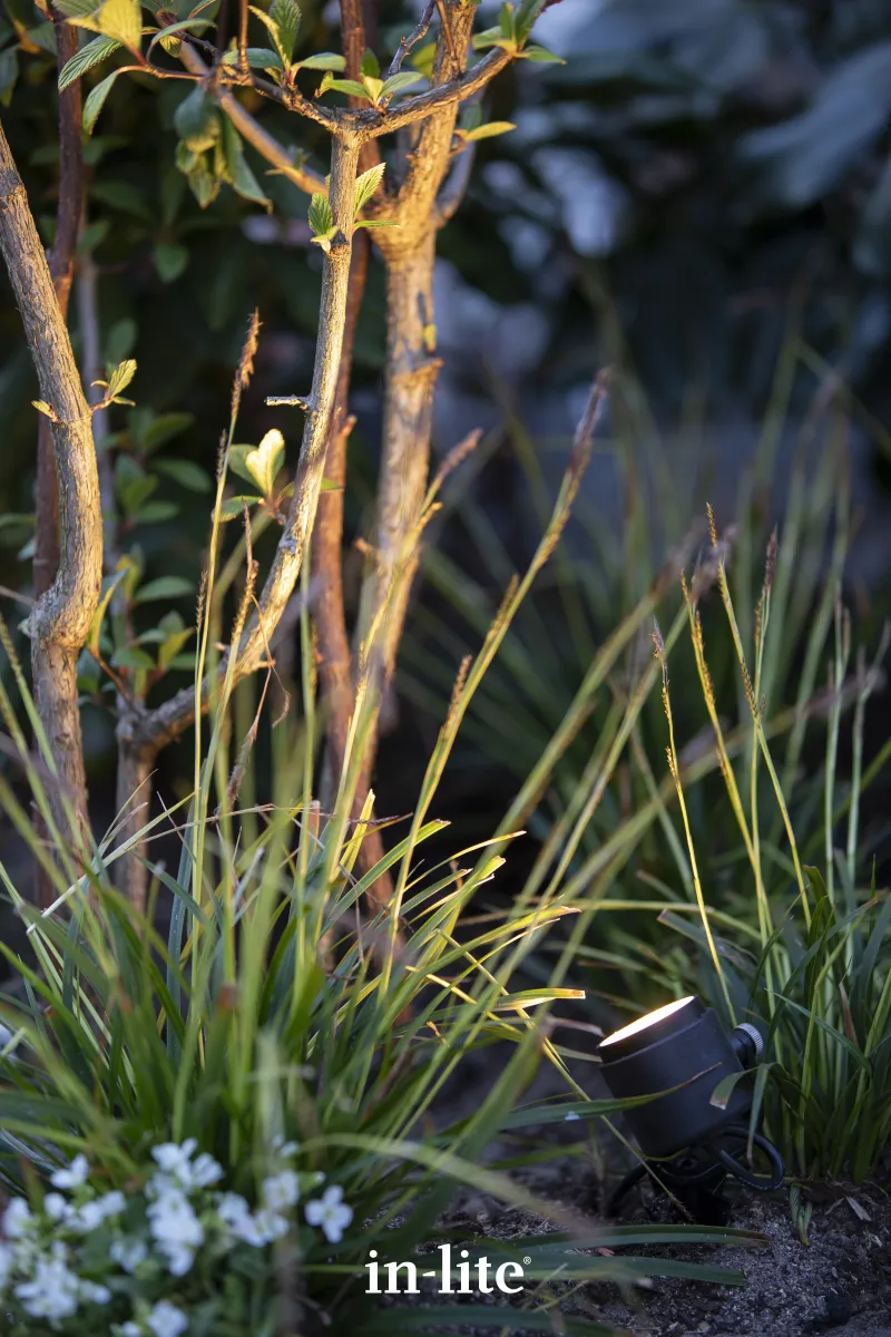 In-Lite Mini Scope 12V - Afbeelding 4