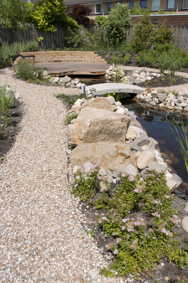 Schelpen Schoongewassen MB (350kg) - Afbeelding 4