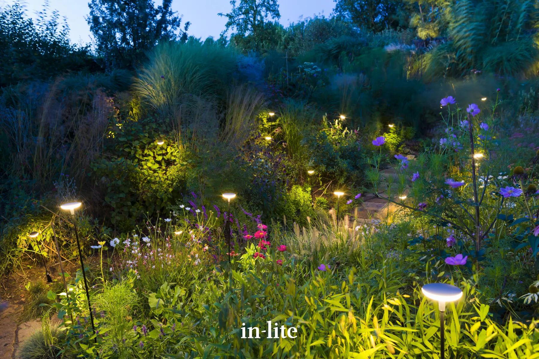 In-Lite Sway Tube Low 60cm Solitary - Afbeelding 5