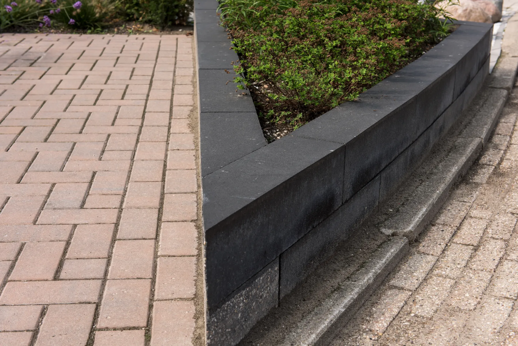 BKK Brons 7cm - Afbeelding 3