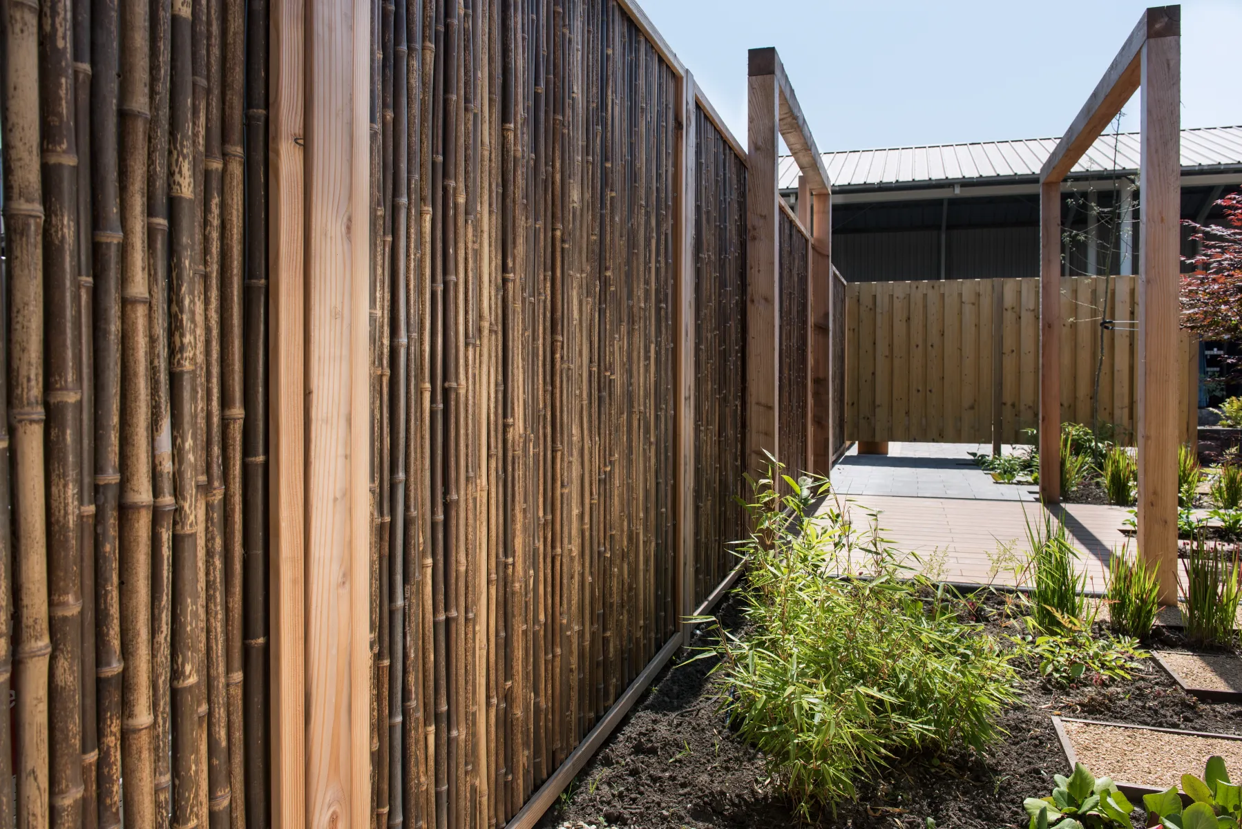 Bamboescherm zwarte bamboestokken 186x186 =cm