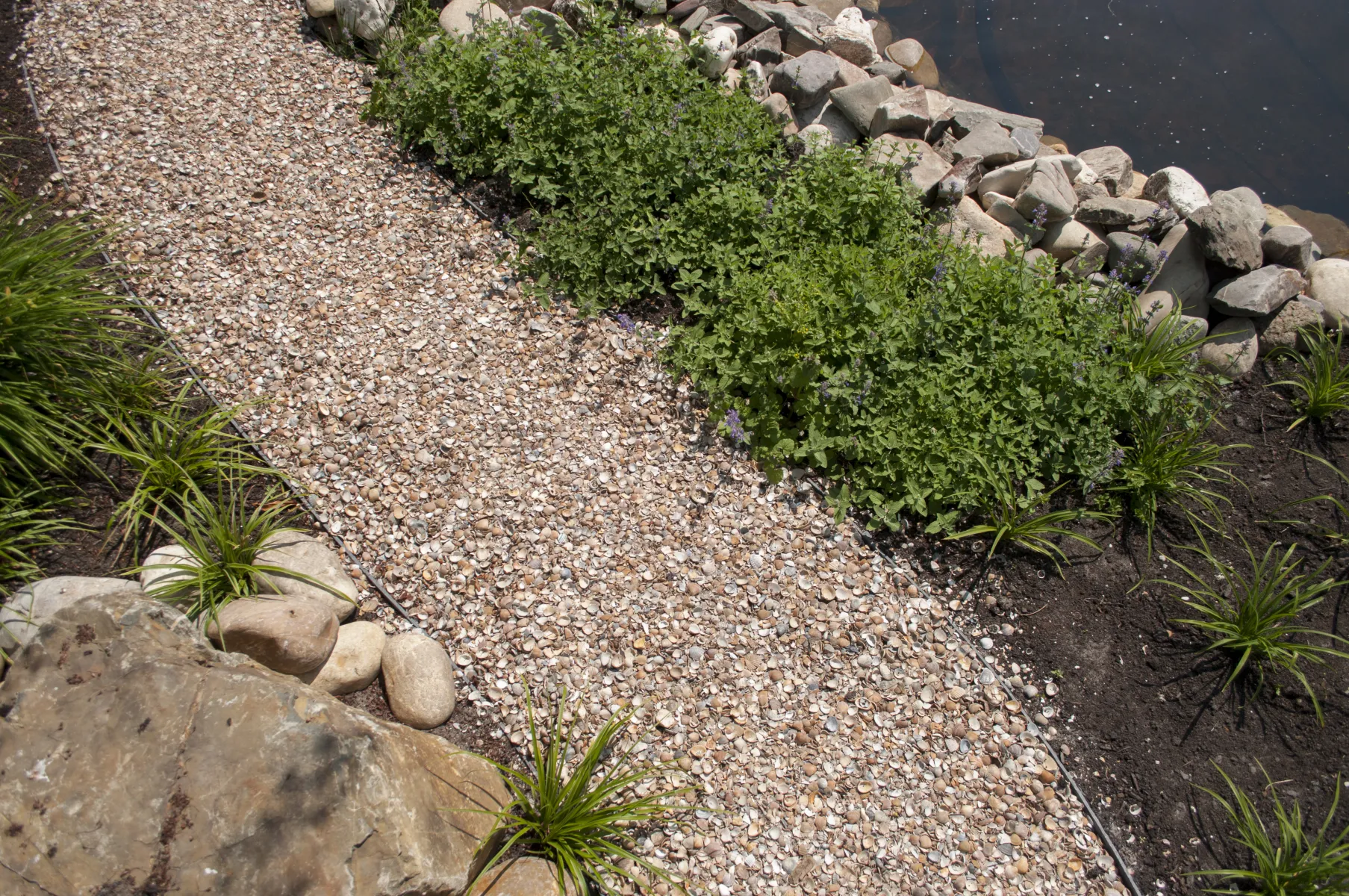 Schelpen Schoongewassen MB (350kg) - Afbeelding 5