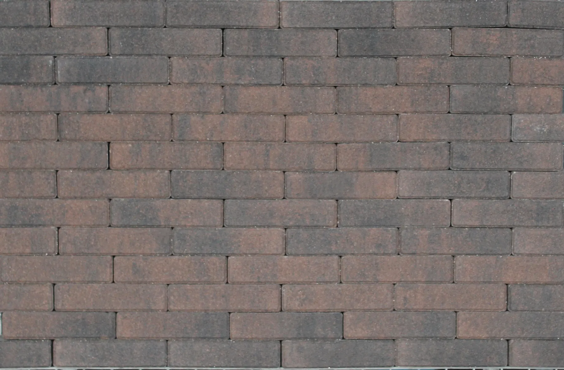 Tremico Brons WF 6cm