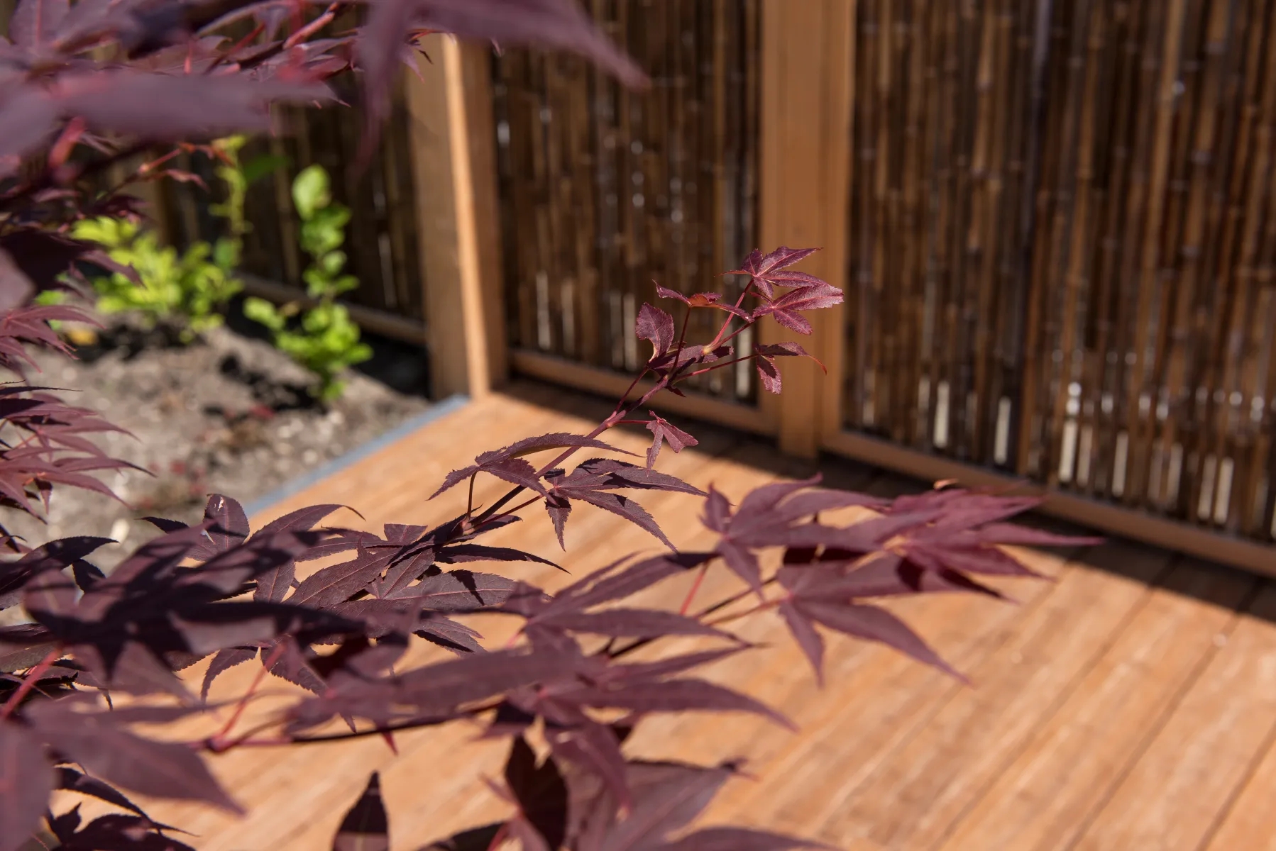 Bamboescherm zwarte bamboestokken 186x186 =cm - Afbeelding 2