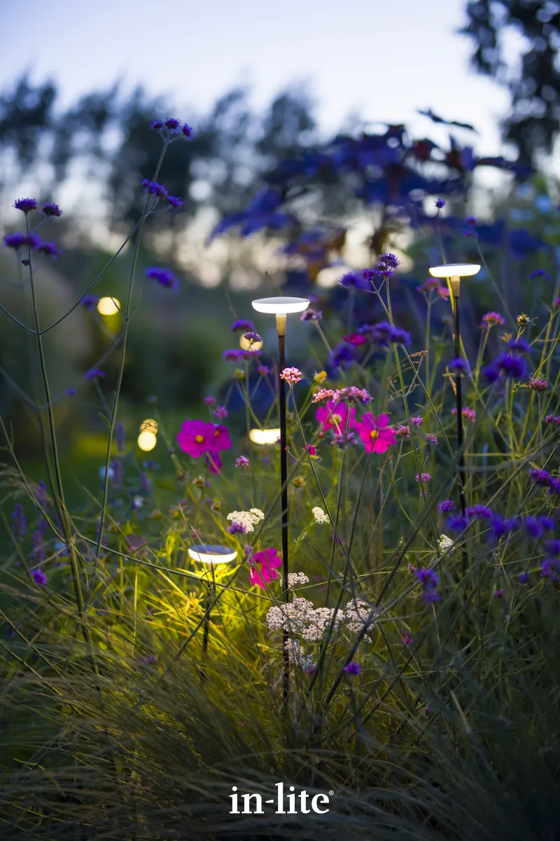 In-Lite Sway Tube Low 60cm Solitary - Afbeelding 4