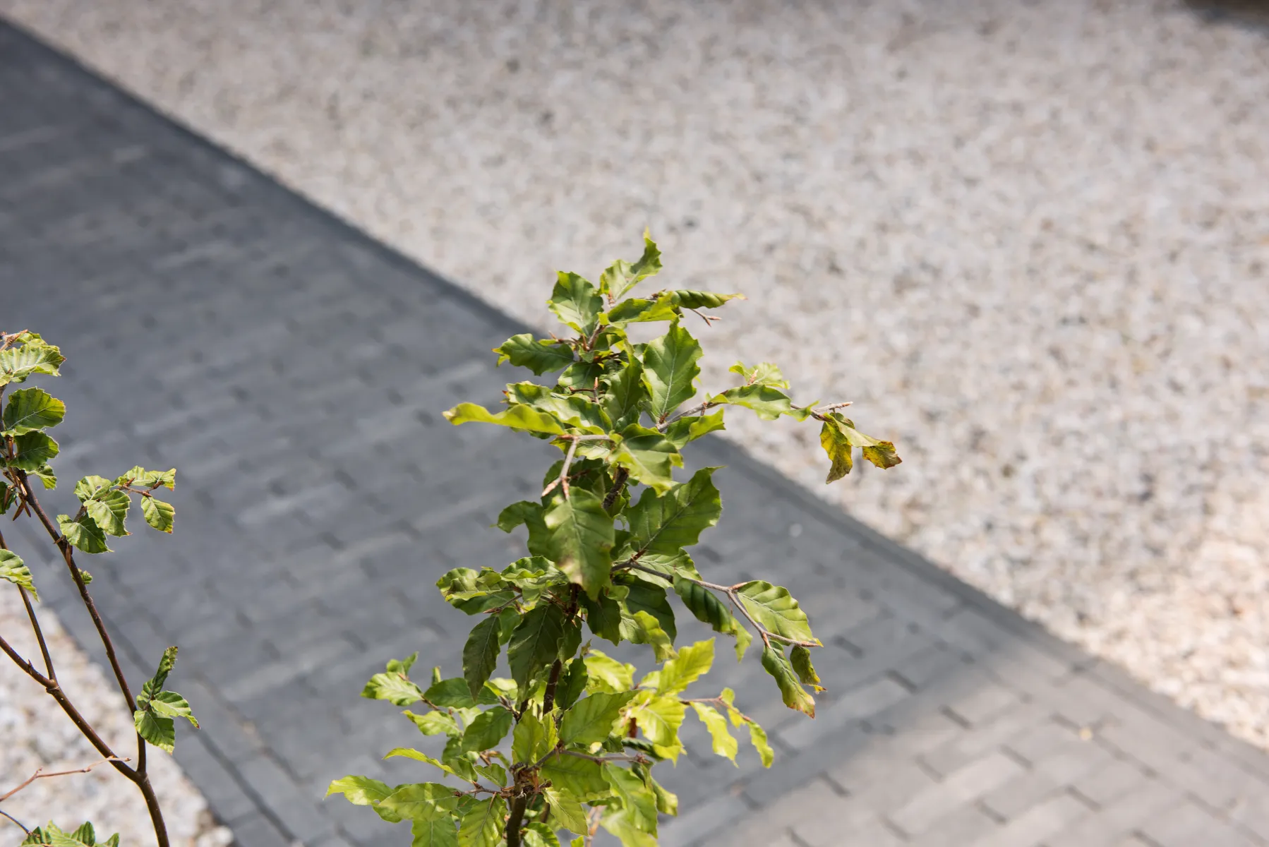 Tambour 20x5x7 antraciet - Afbeelding 5