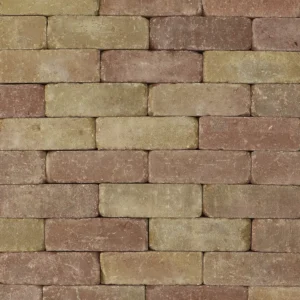 Trommelsteen 21x7x7 terrageel