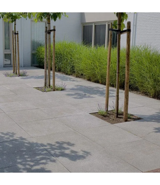 Schellevis Oudhollands Grijs Tegel 80x80x5 - Afbeelding 2