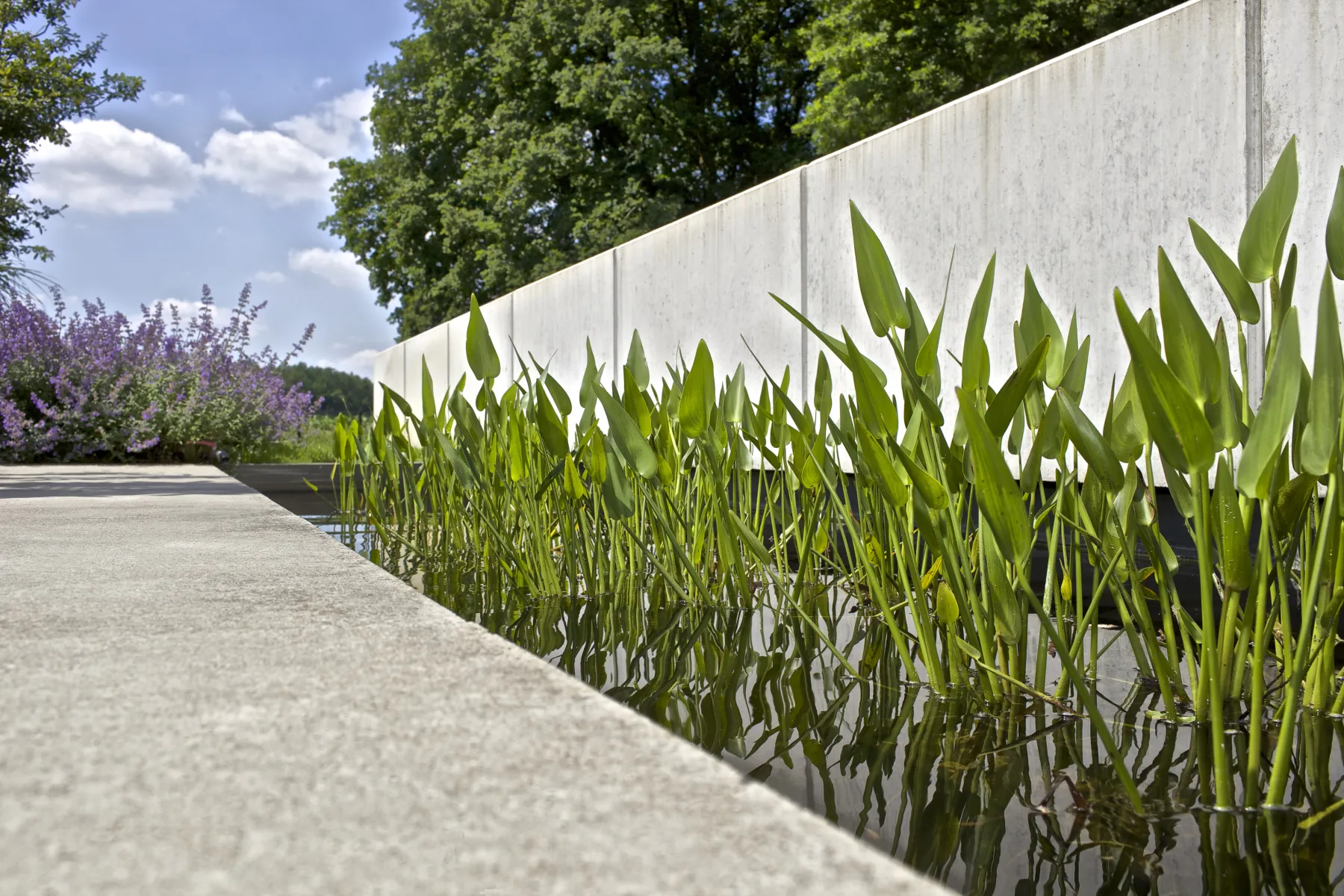 Schellevis Oudhollands Creme Tegel 100x100x5 - Afbeelding 2