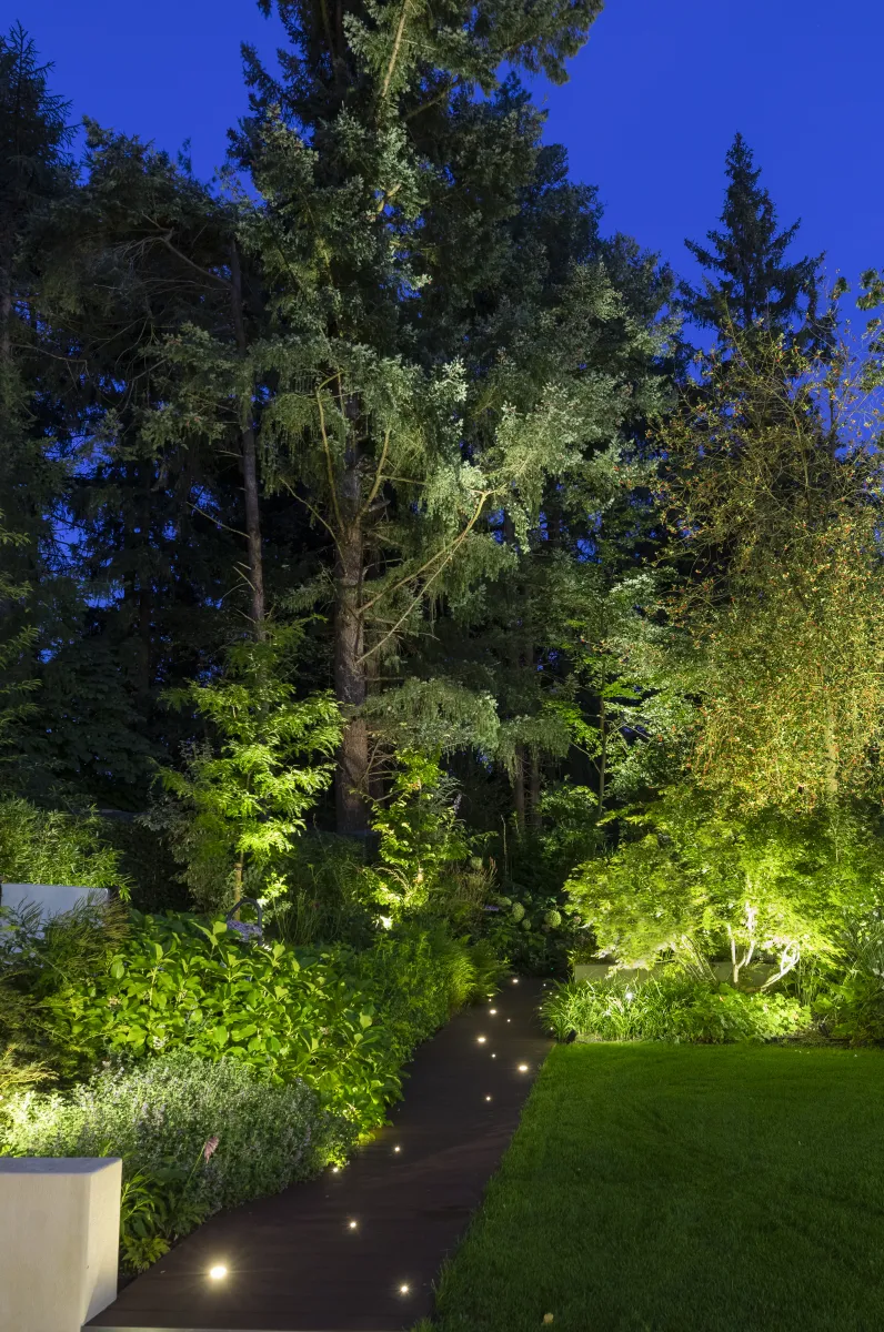 In-Lite Big Scope Narrow 12V - Afbeelding 2