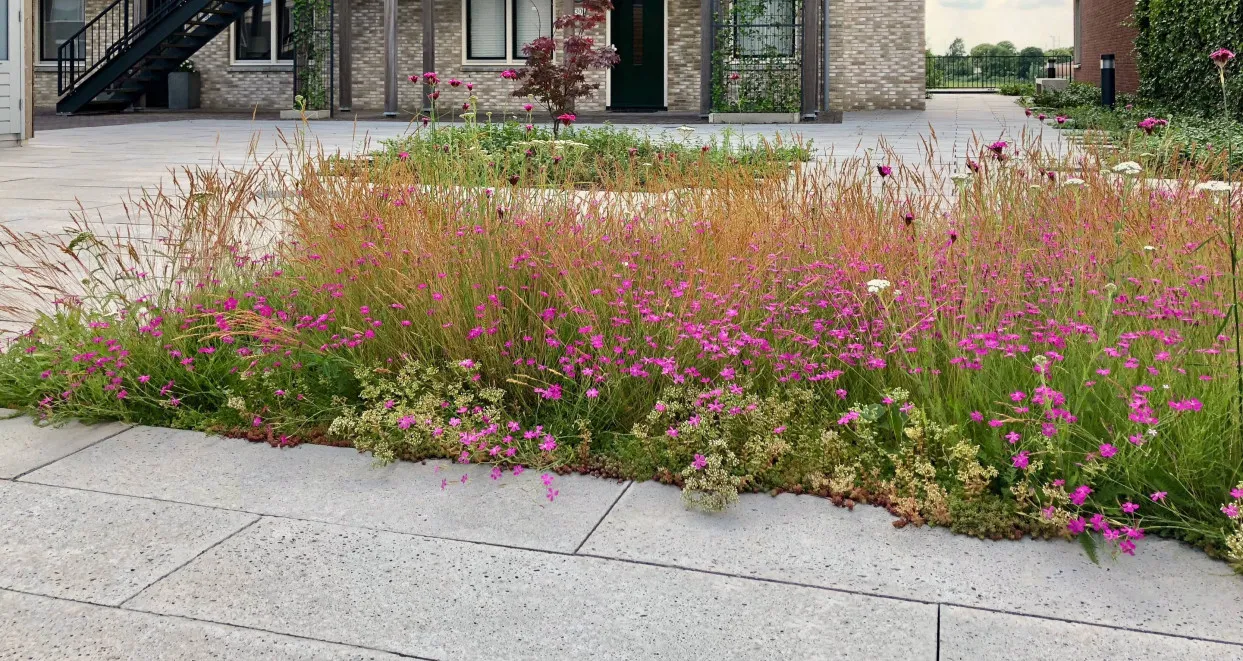 Schellevis Oudhollands Grijs Tegel 200x50x10 - Afbeelding 4