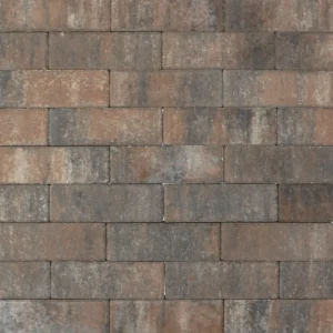 Tremico Texels Bont DF 6cm