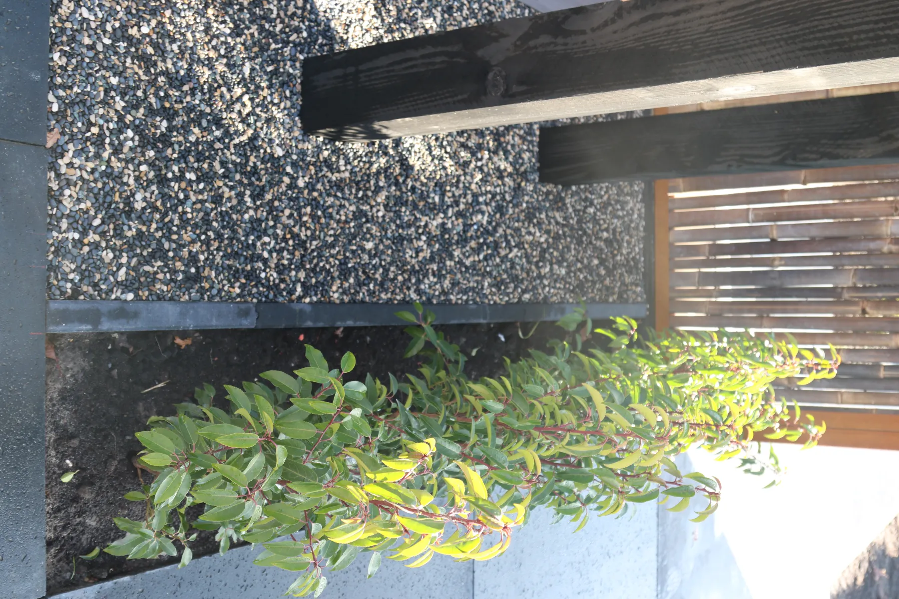 Natural Blend Pebbles 5-8mm MB (0,5m3 850kg) - Afbeelding 8