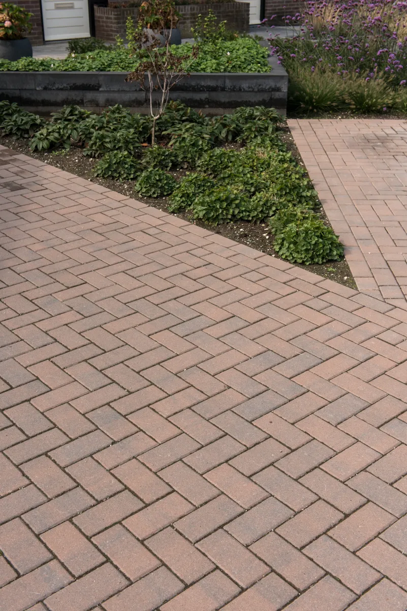 BKK Brons 7cm - Afbeelding 2