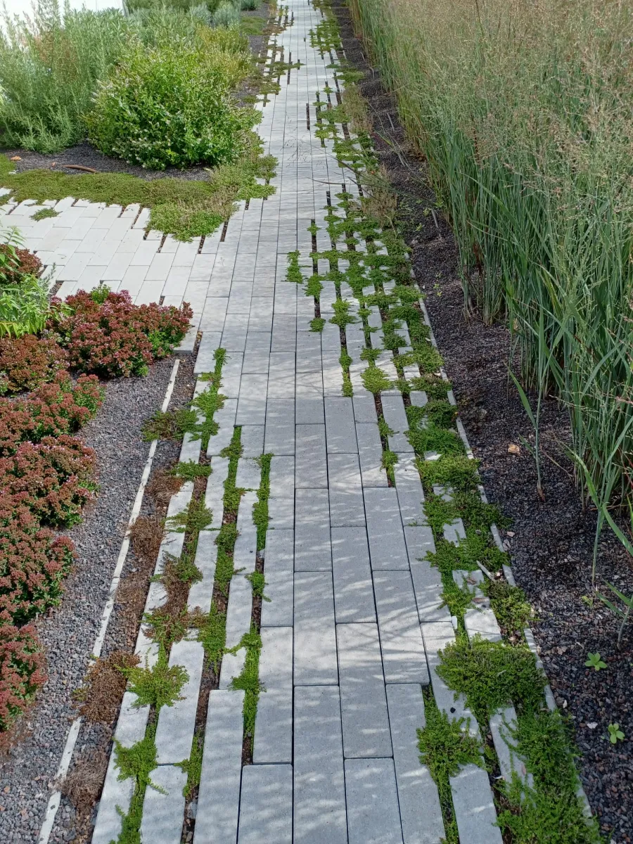 Hydro Lineo 30x10x8 nok 22 grijs - Afbeelding 4