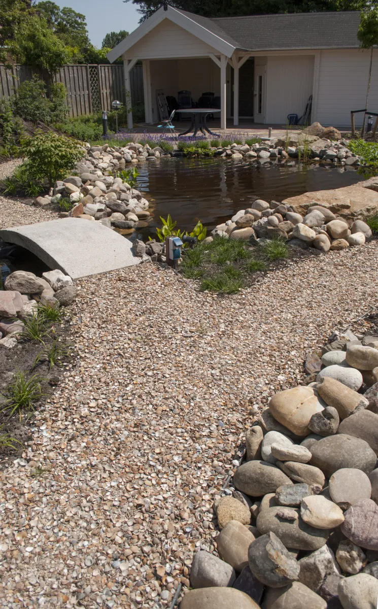 Schelpen Schoongewassen MB (350kg) - Afbeelding 3