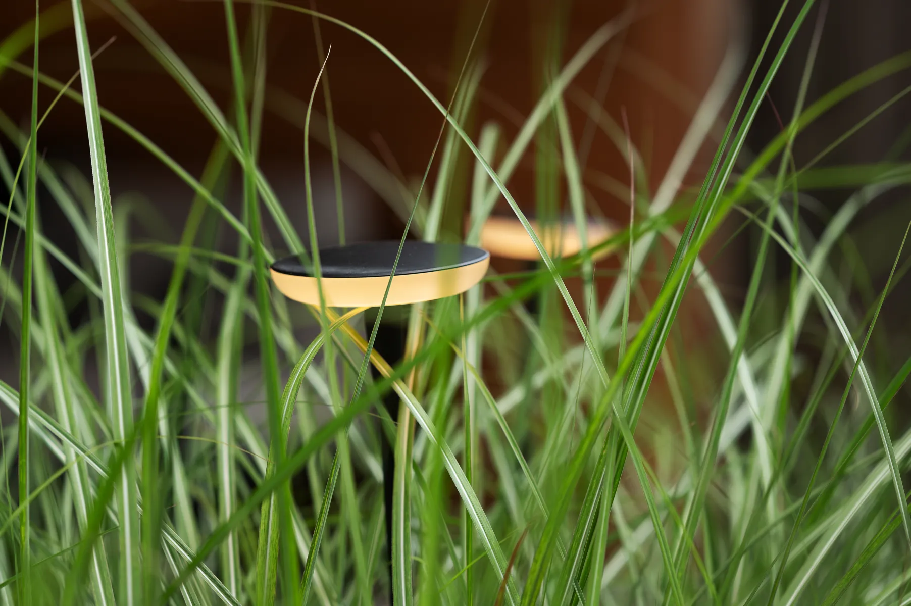 In-Lite Sway Light Head Black Solitary - Afbeelding 3