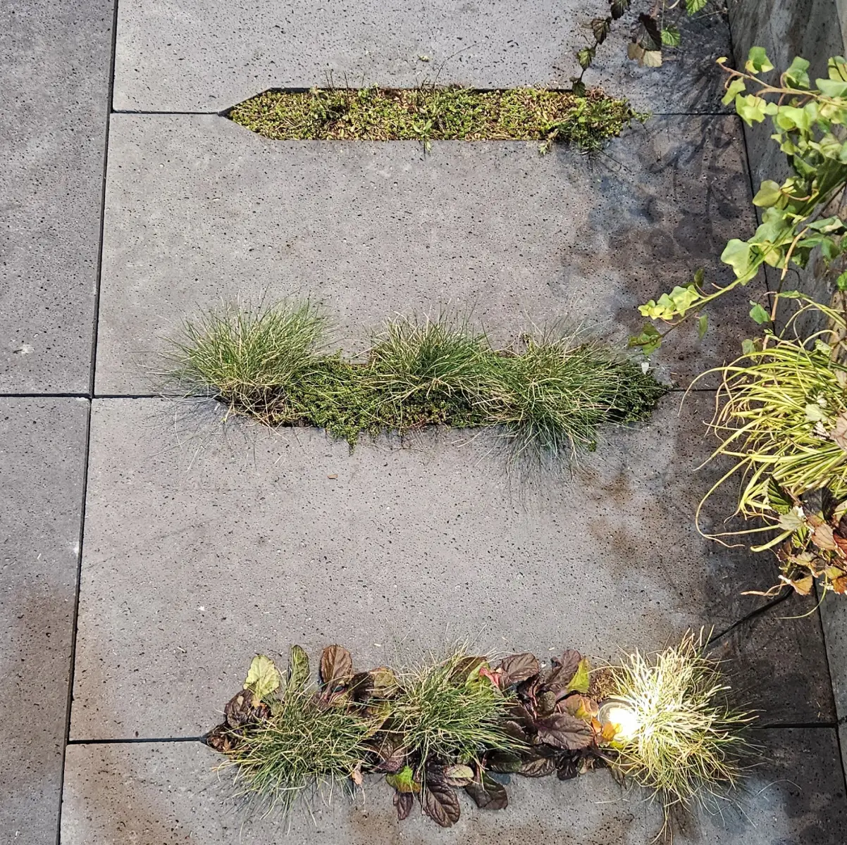 Schellevis Oudhollands Eco-tegel Antraciet 100x50x7cm - Afbeelding 6