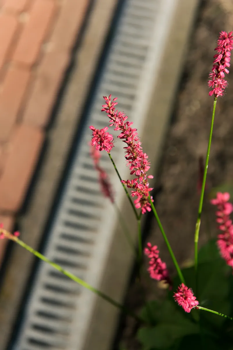 Hexaline Goot met Verzinkt Rooster 100cm - Afbeelding 5