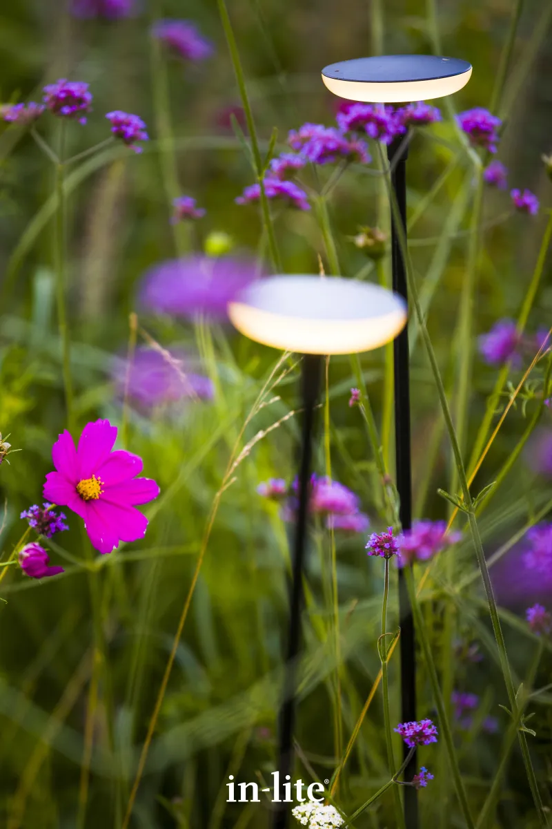 In-Lite Sway Tube Low 60cm Solitary - Afbeelding 3