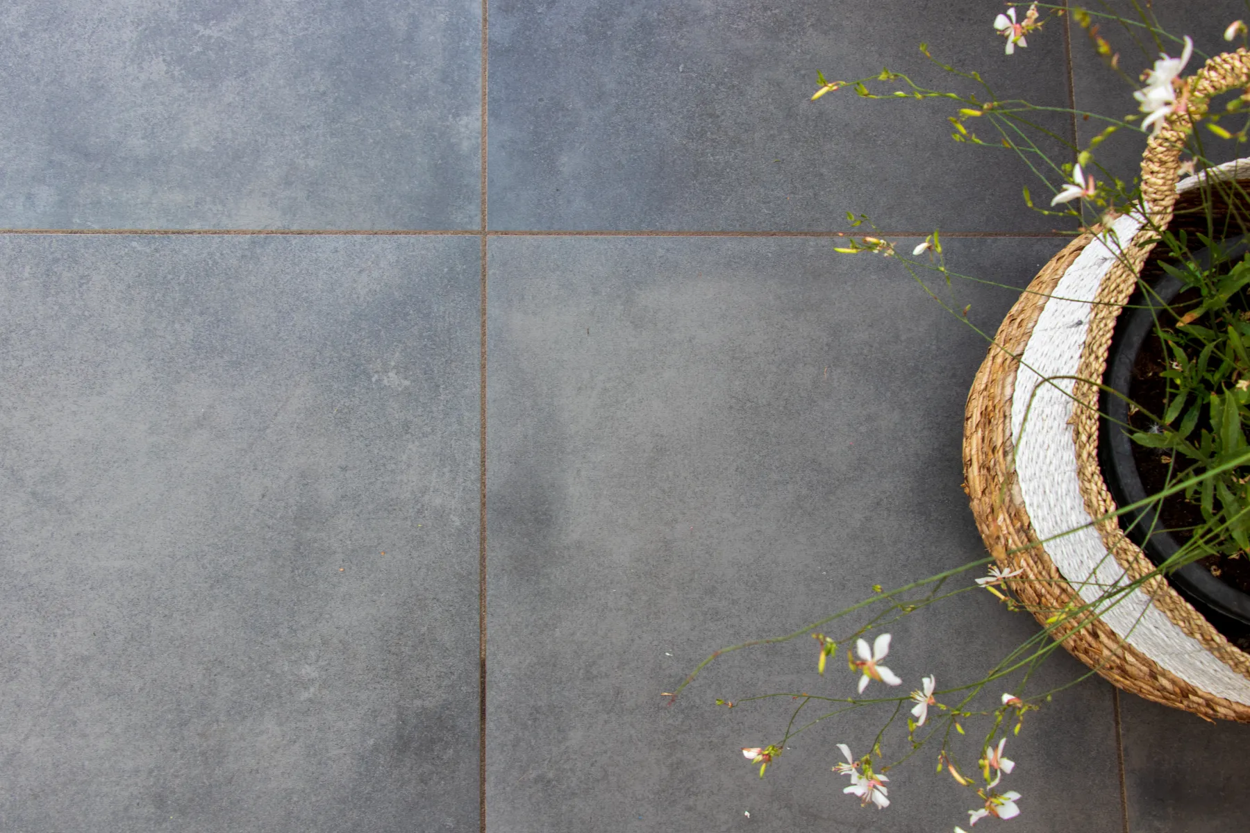 Cerasolid Aurora Shadow 60x60x3cm /1st - Afbeelding 3